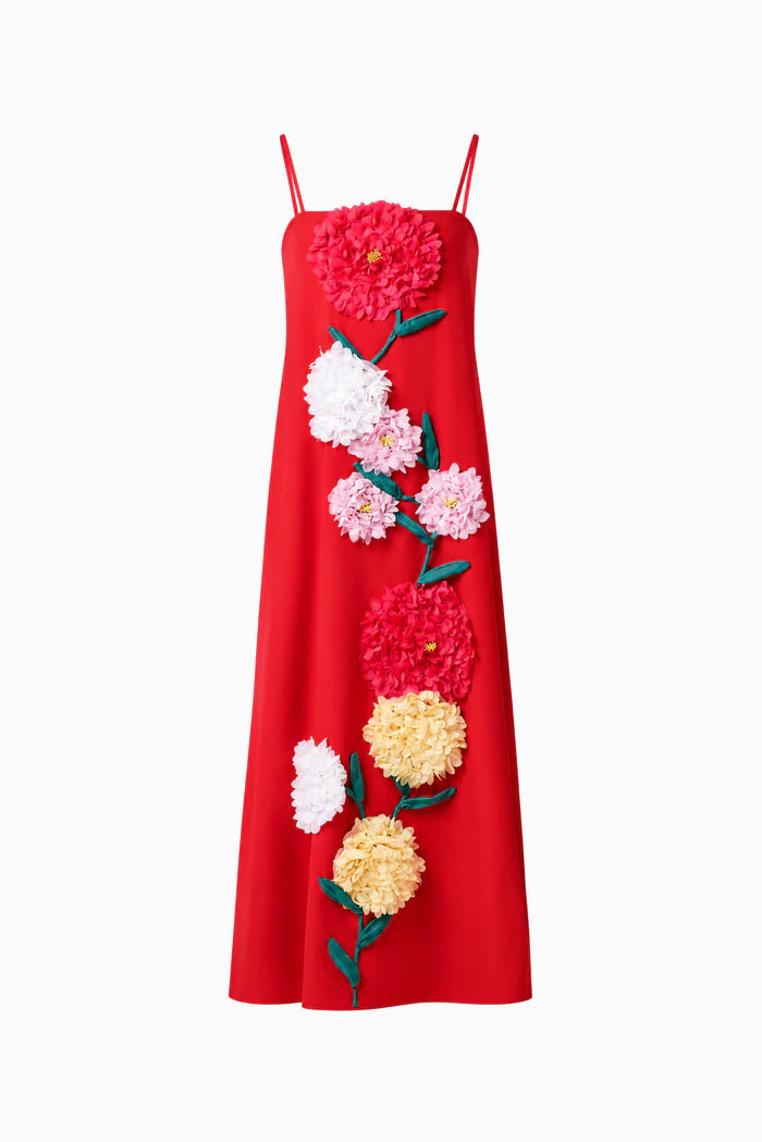 Buttercup Embroidered Maxi Dress In Red