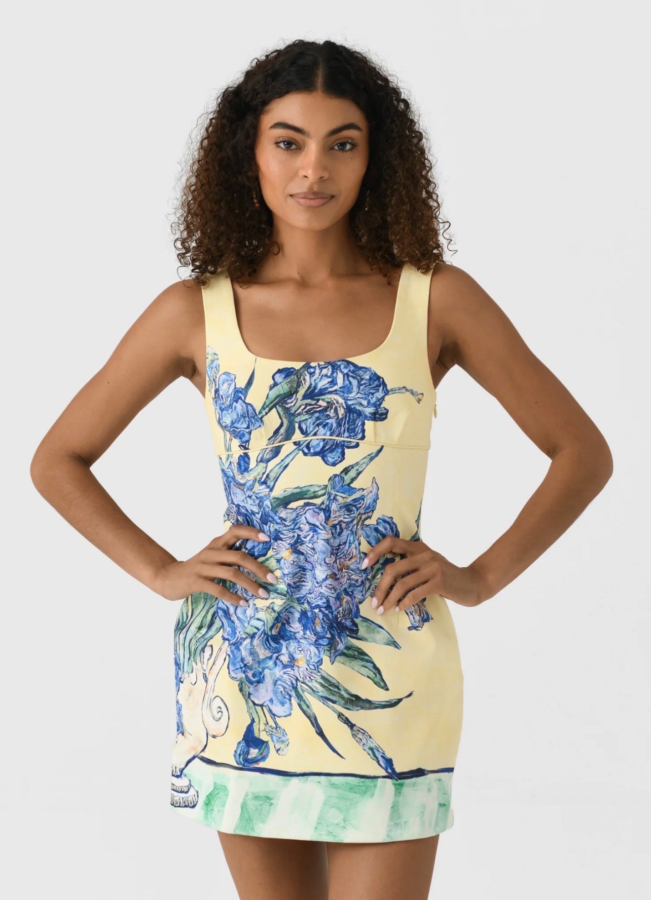 lantern mini dress Antipodean Homecoming Lantern Mini Dress – Lizzie Lend