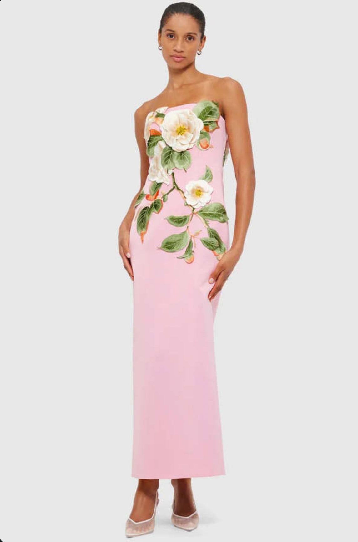 Leo Lin Rayna Appliqué Floral Bustier Maxi Dress - Camelia Print