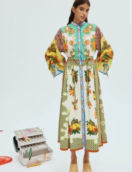 Alemais Lemonis shirtdress