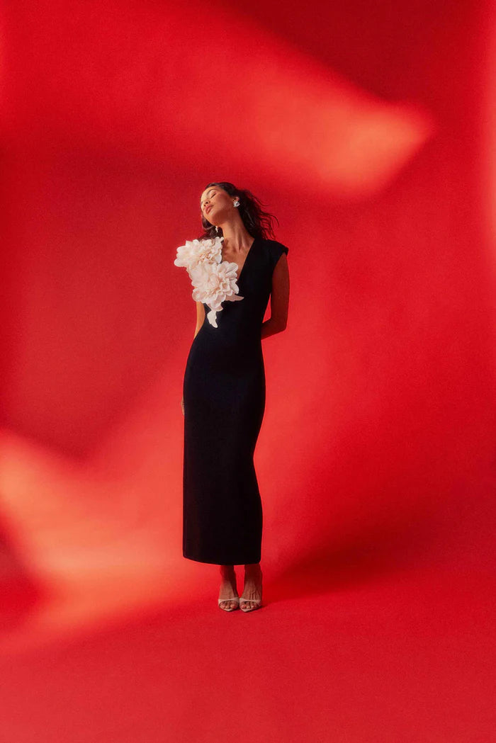 Elliatt Zahara V-Neck Gown in Black