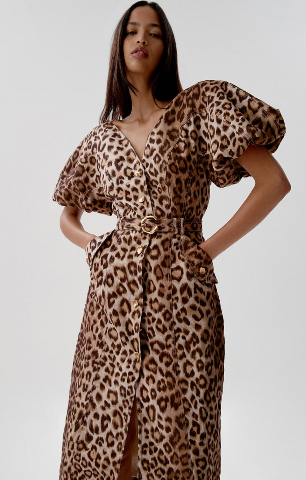 Aje Isabella Shirtdress