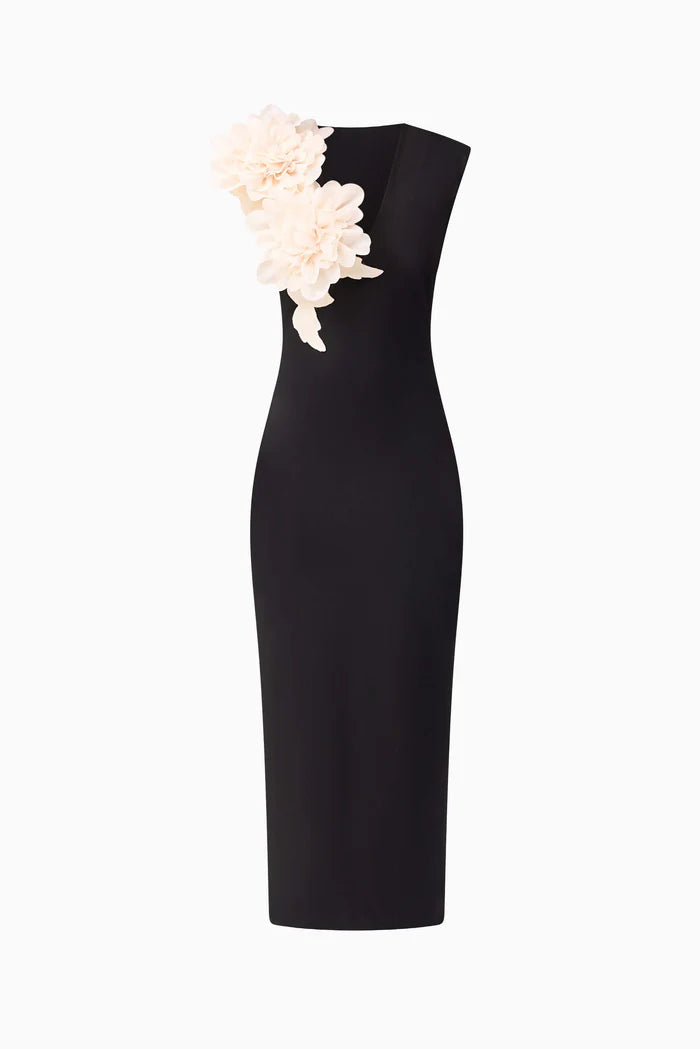 Elliatt Zahara V-Neck Gown in Black