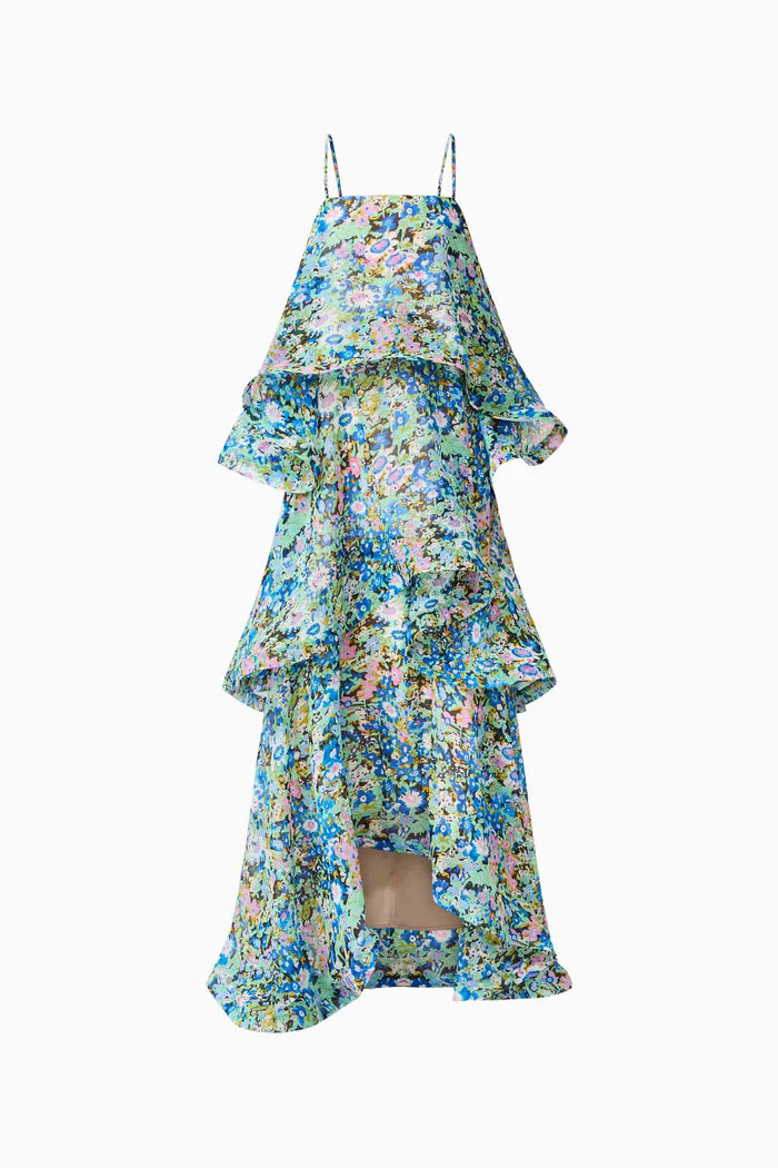 Elliatt Armani Tiered Maxi Dress In Blue Floral