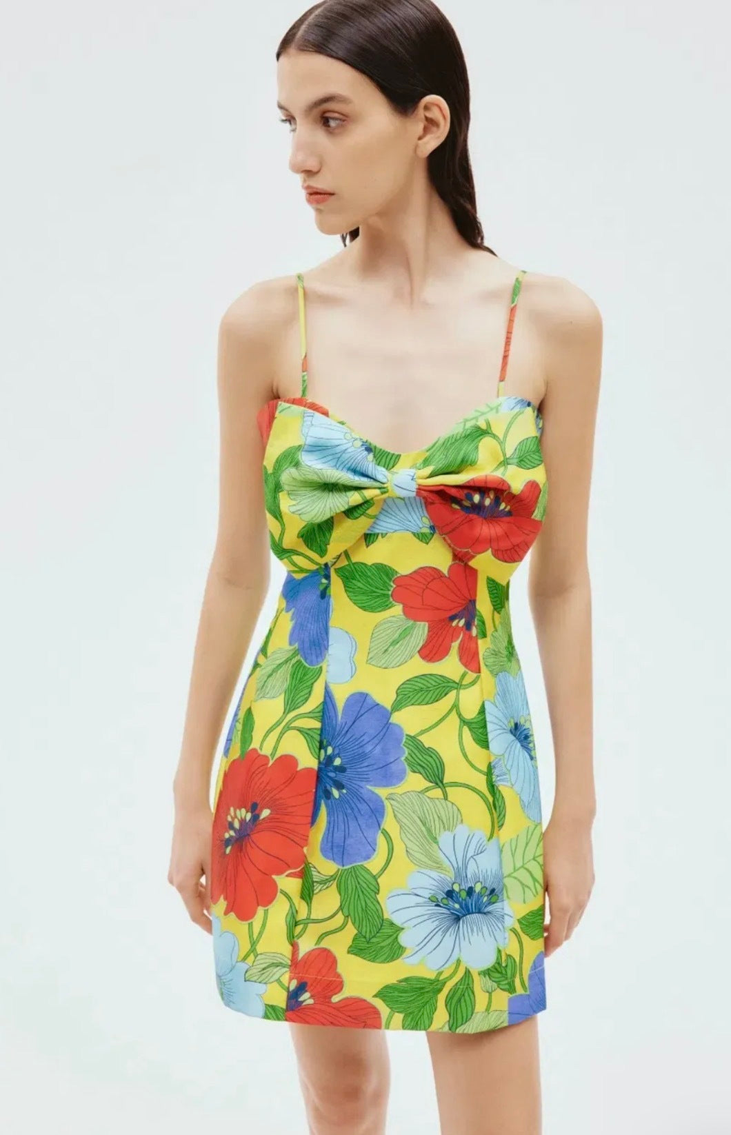 Alémais Verna Bow Mini Dress in Floral