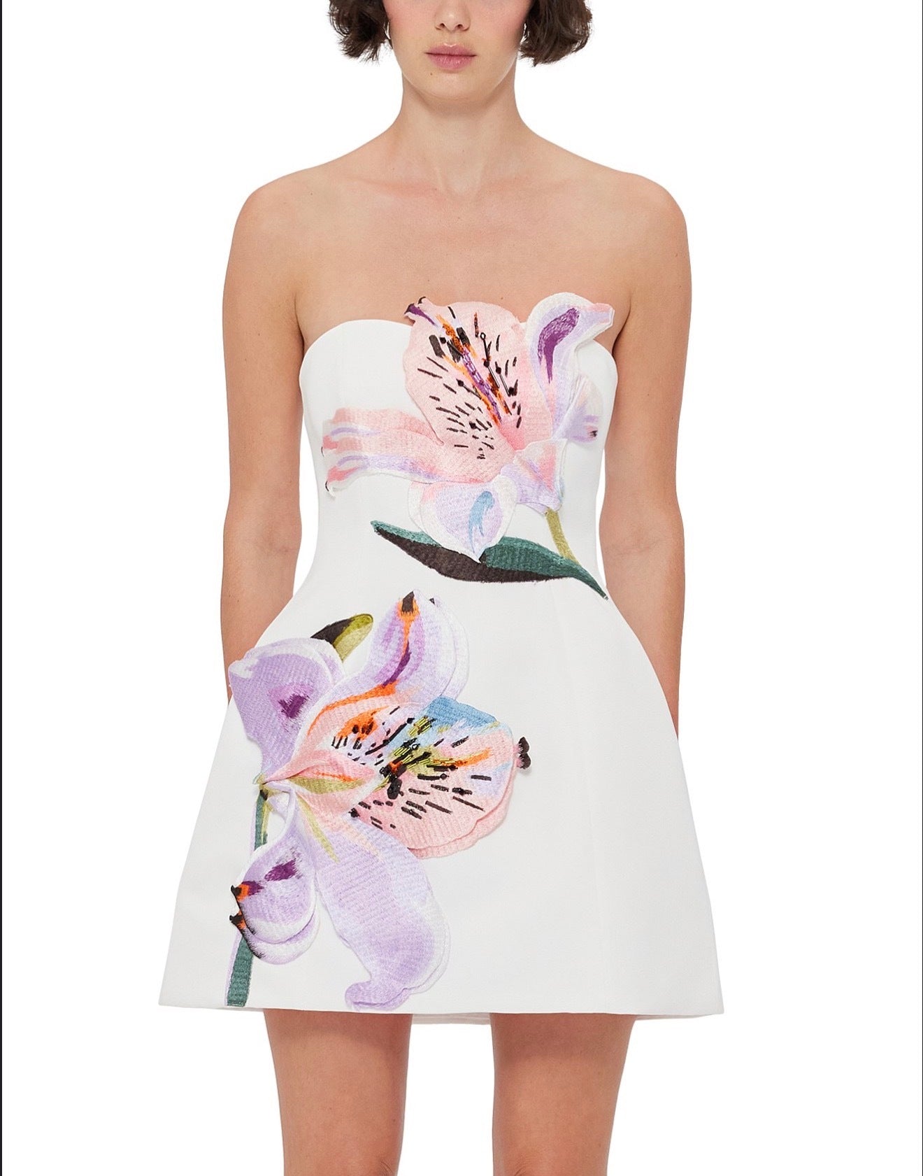 Leo Lin Rosario Appliqué Floral Bustier Mini Dress