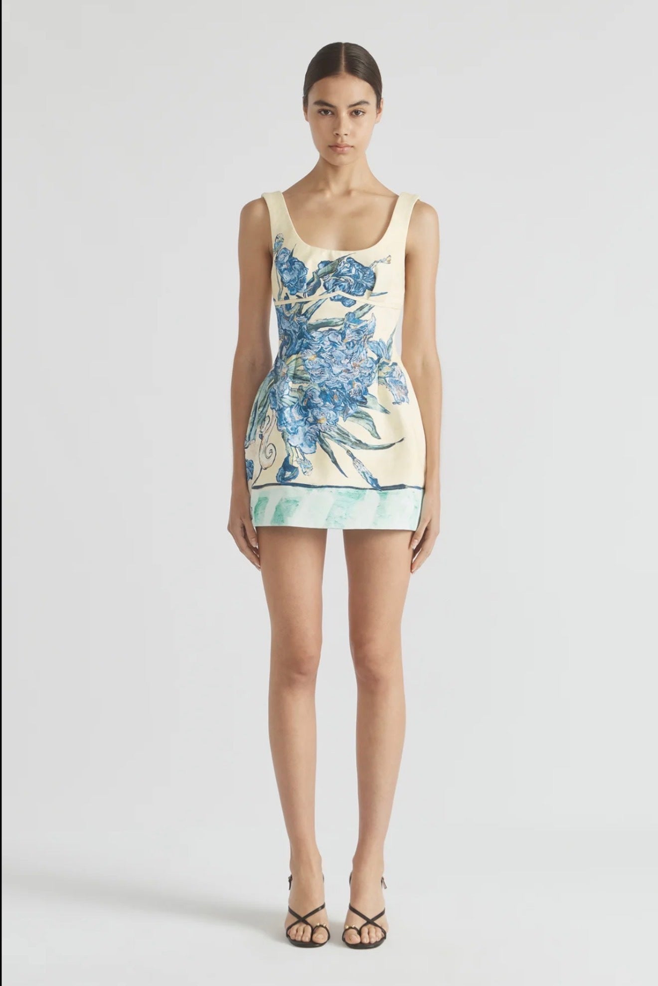 Antipodean Homecoming Lantern Mini Dress