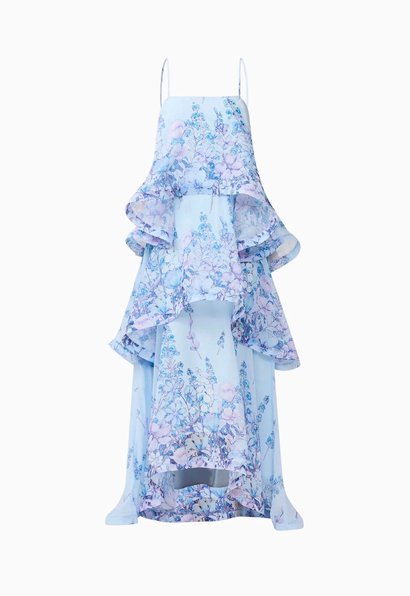 Elliatt Armani Tiered Maxi Dress in Baby Blue Floral