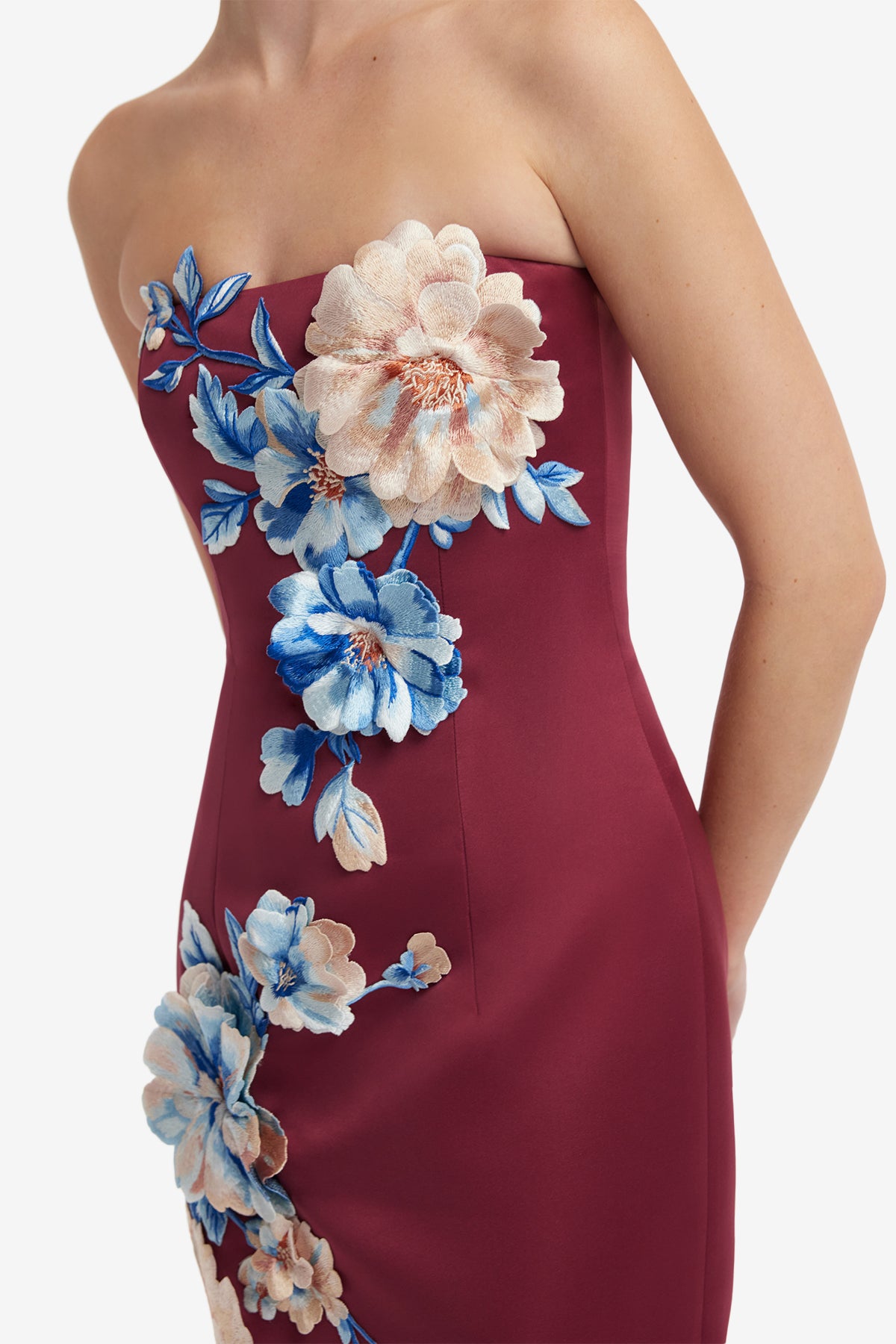 Leo Lin Rayna Embroidered Maxi Dress Cosmos Print